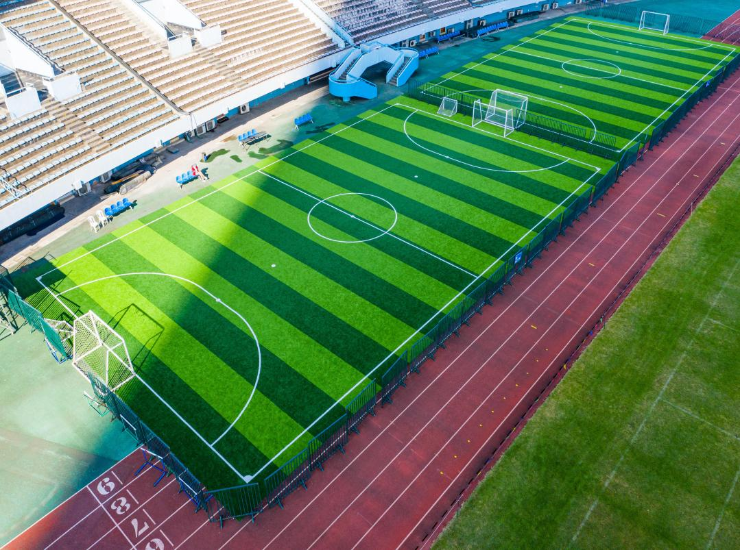 Soccer Sport Artificial Turf /grass /lawn for Football Stadium